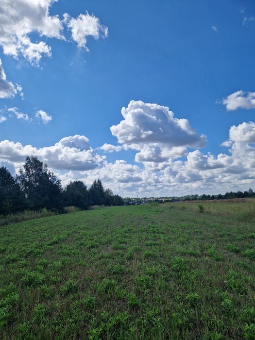 Sprzedam Działki budowlane w  Niemce