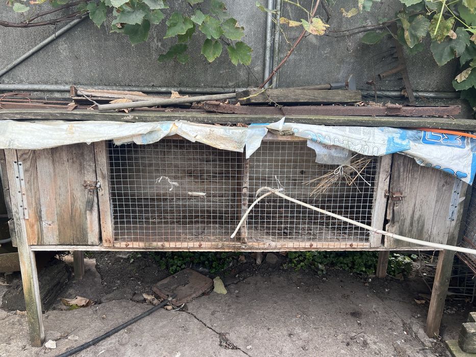 Клітки для кролів