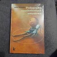 Pedagogika upośledzonych umysłowo - J. Wyczesany