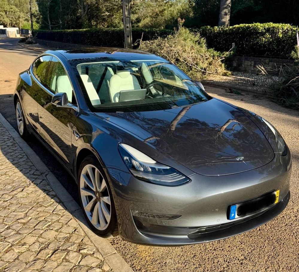 Tesla Model 3  Dual motor