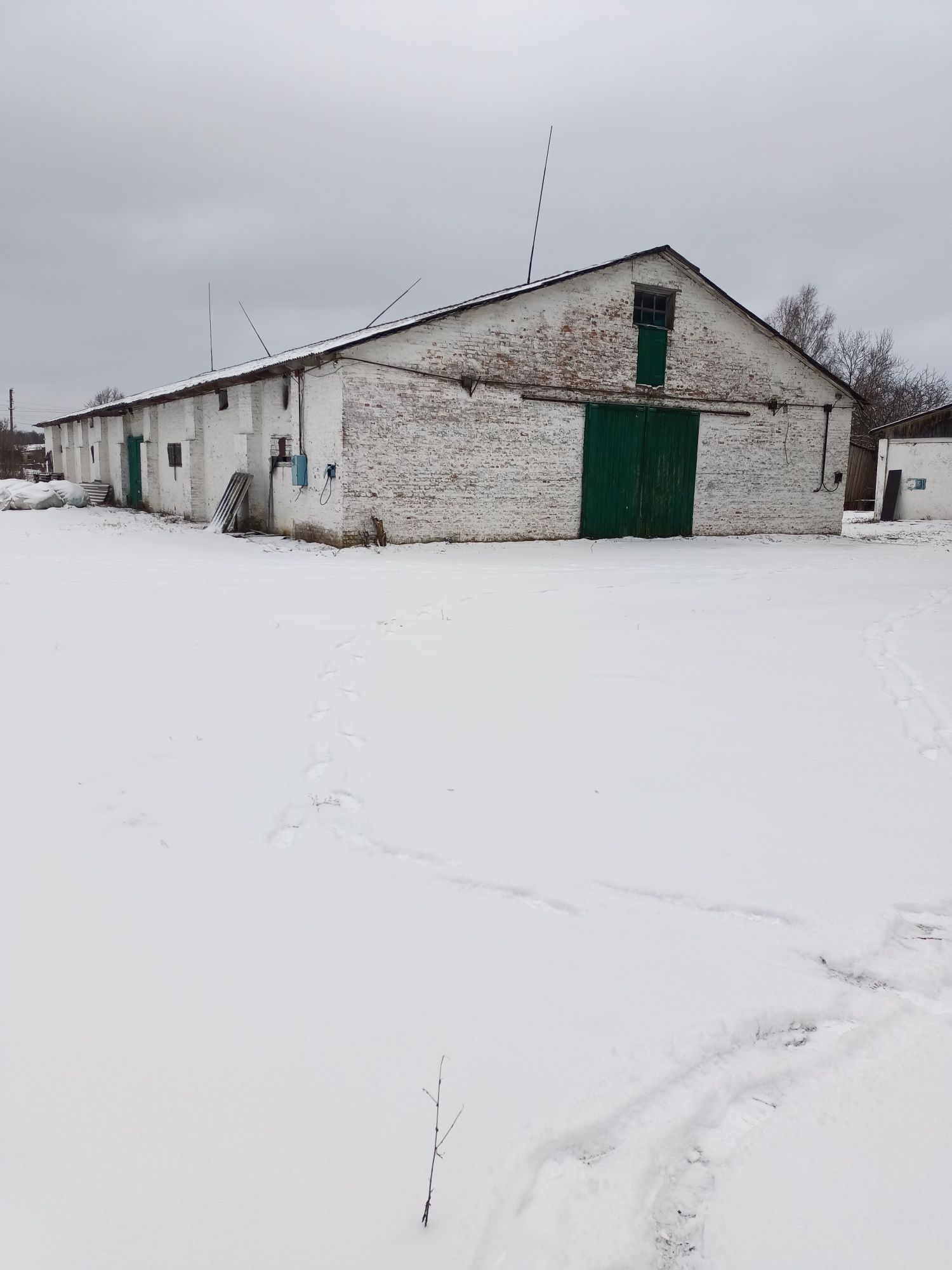 Зерносклади, комори з площадками для сушіння, с. Сушки