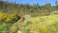 Venda de Terreno, Barroselas, Viana do Castelo