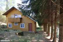 Janowice Wlk. Mały dom 3 pok. 65 m2