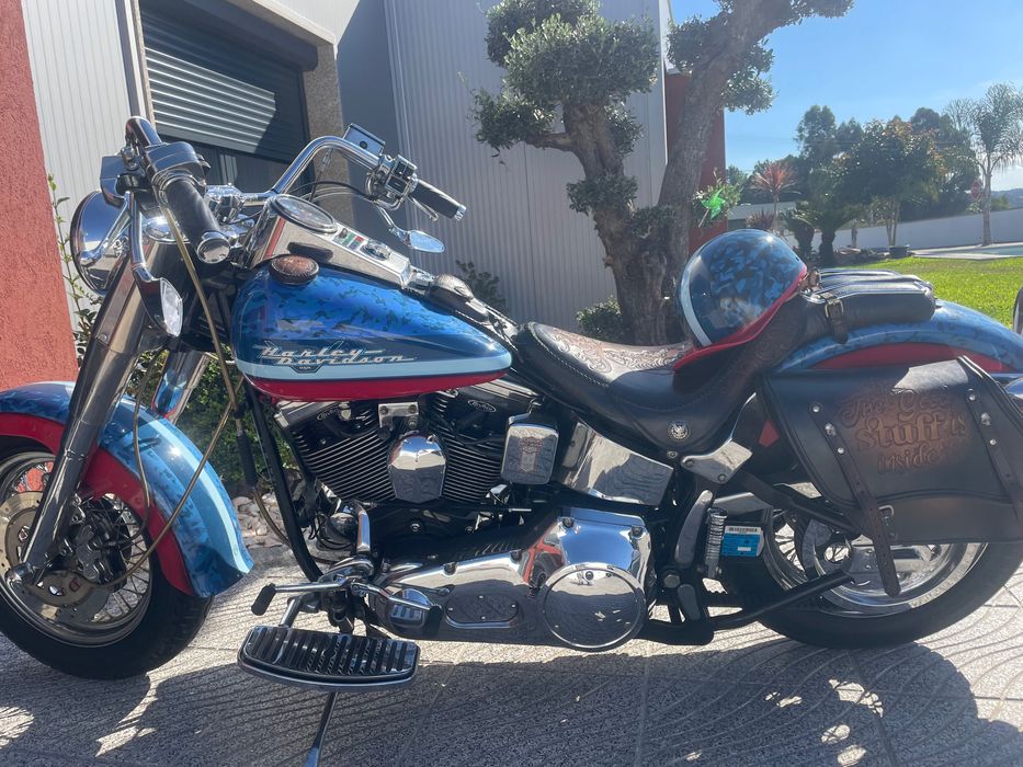 Harley davidson softail