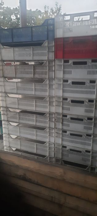 Sprzedam  skrzynki  plastikowe. do  owoców iwarzyw