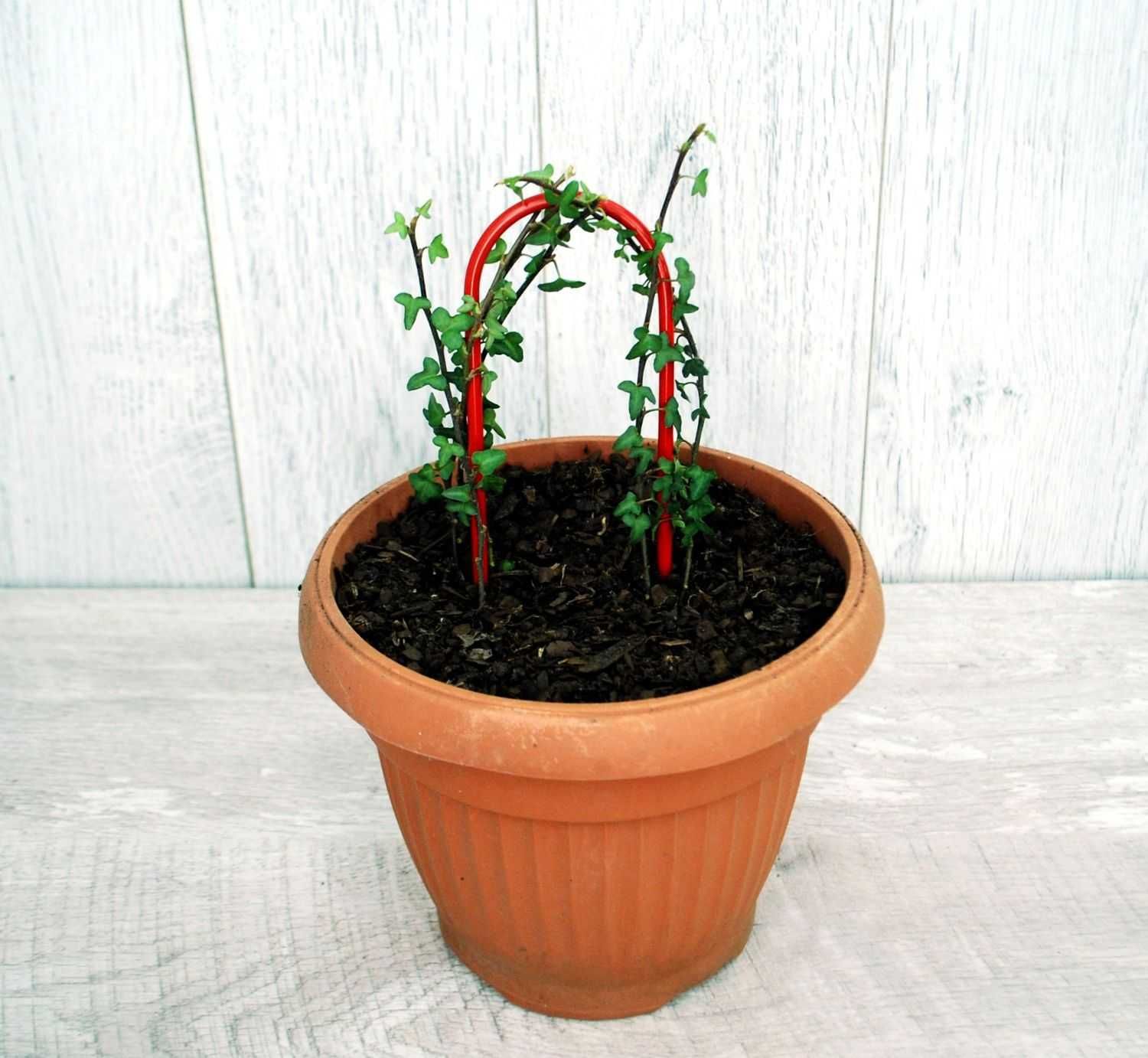 Podpora palik do pnączy roślin kwiatów 7x30cm czerwony 3000 (P09)
