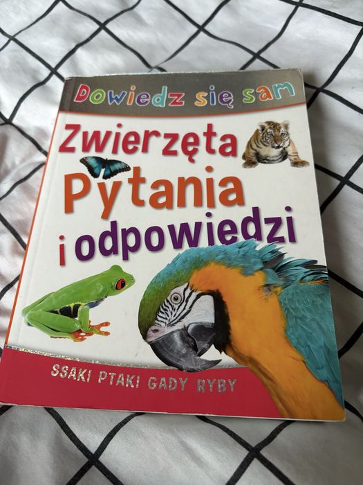 Książka dla dzieci Zwierzęta pytania i odpowiedzi