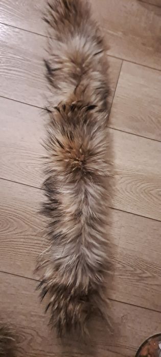 Przypiecie do kaptura. Kołnierza .Jenot