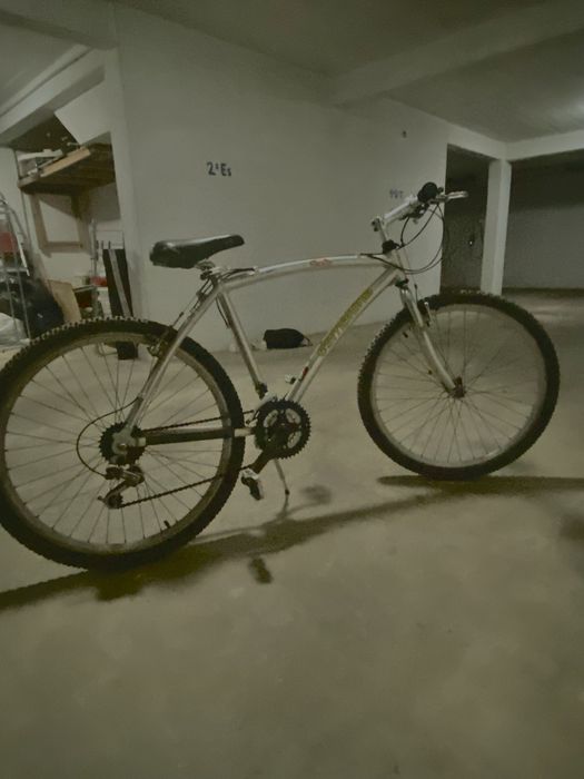 Bicicleta cinzenta