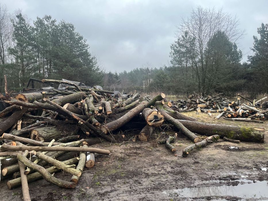 Drewno na opał obałki