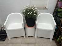 Conjunto de jardim