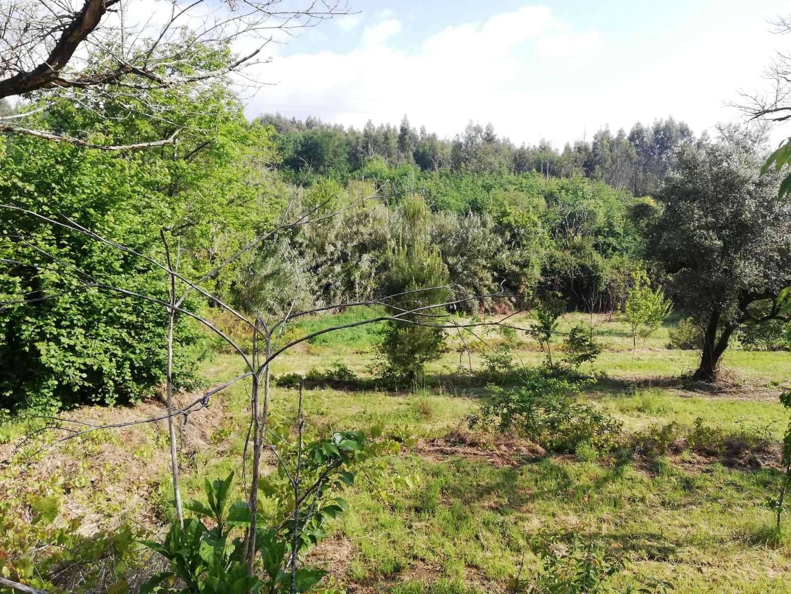 Venda de Terreno em Vila Nova da Rainha, Tondela