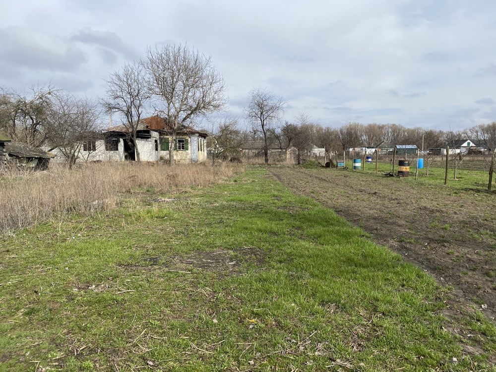 Земельна ділянка. Будинок. Журавка. Чернігівська область