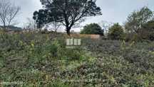 Venda de Lote para construção, Afife, Viana do Castelo