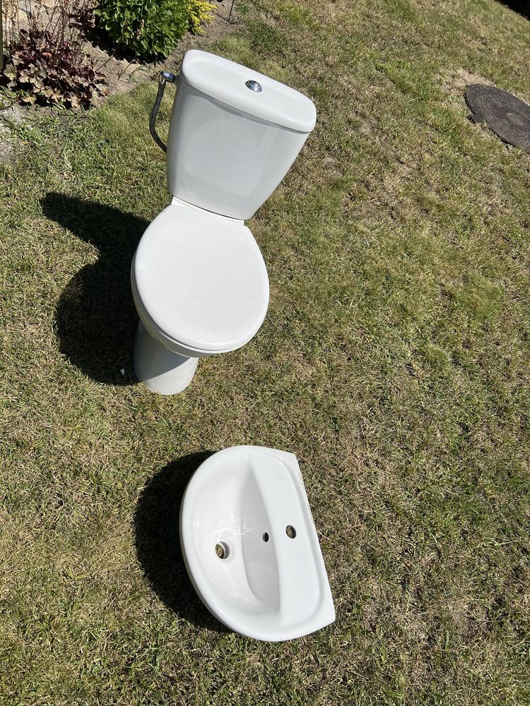 Sedes dolnopłuk koło wc