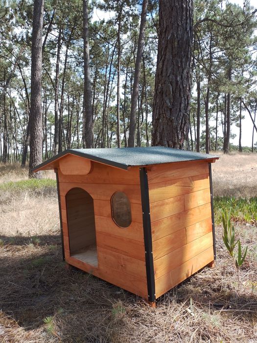 Casota para beagle