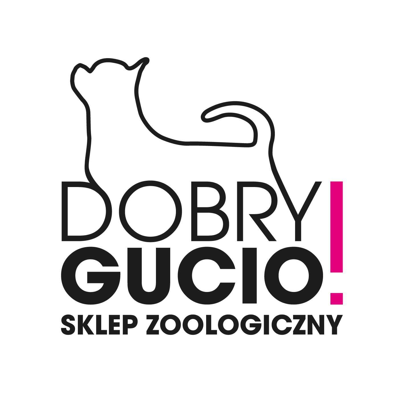 Świnka Morska Białystok sklep zoologiczny DOBRY GUCIO