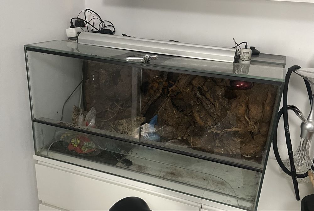 Terrário para repteis