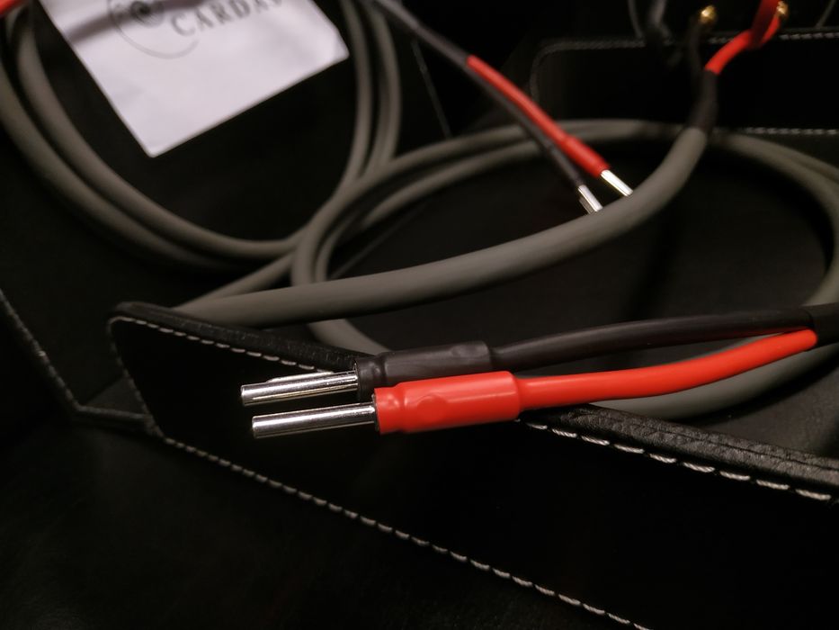 Cardas 101 kable głośnikowe konfekcja Trans Audio Hi-Fi Wrocław