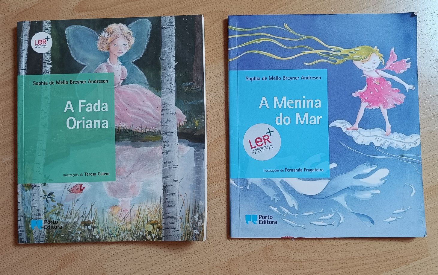 Livros de 3° ciclo - 9° ano