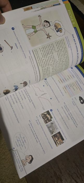 Cadernos de Revisão 5⁰ Ano