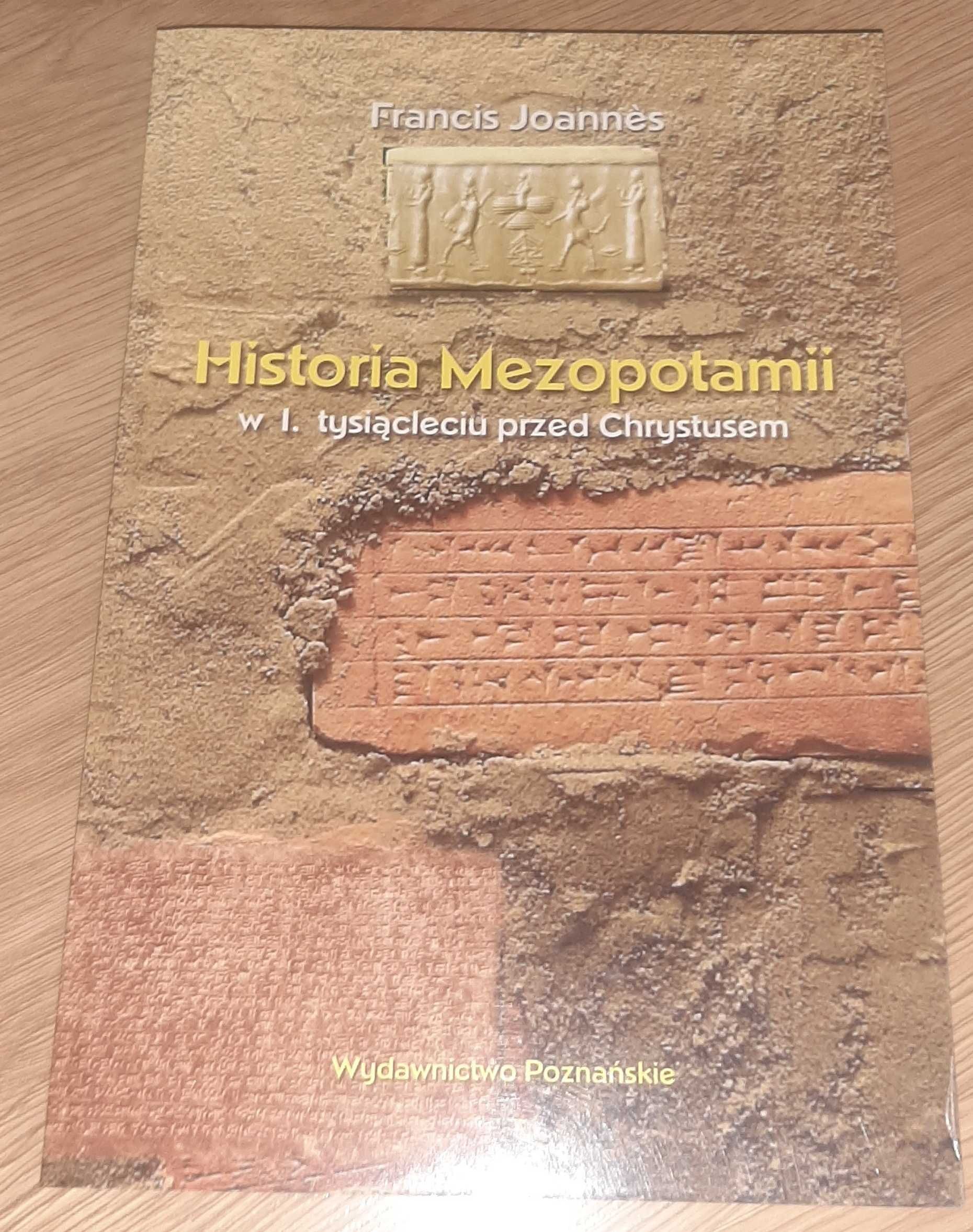 Historia Mezopotamii w I tysiacleciu przed Chrystusem Francis Joannes