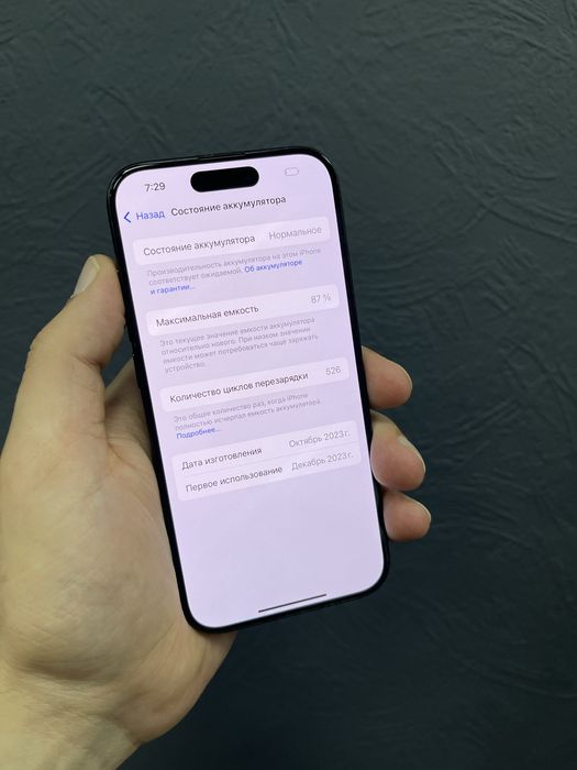 Iphone 15 Pro 256gb Black Titanium Neverlock