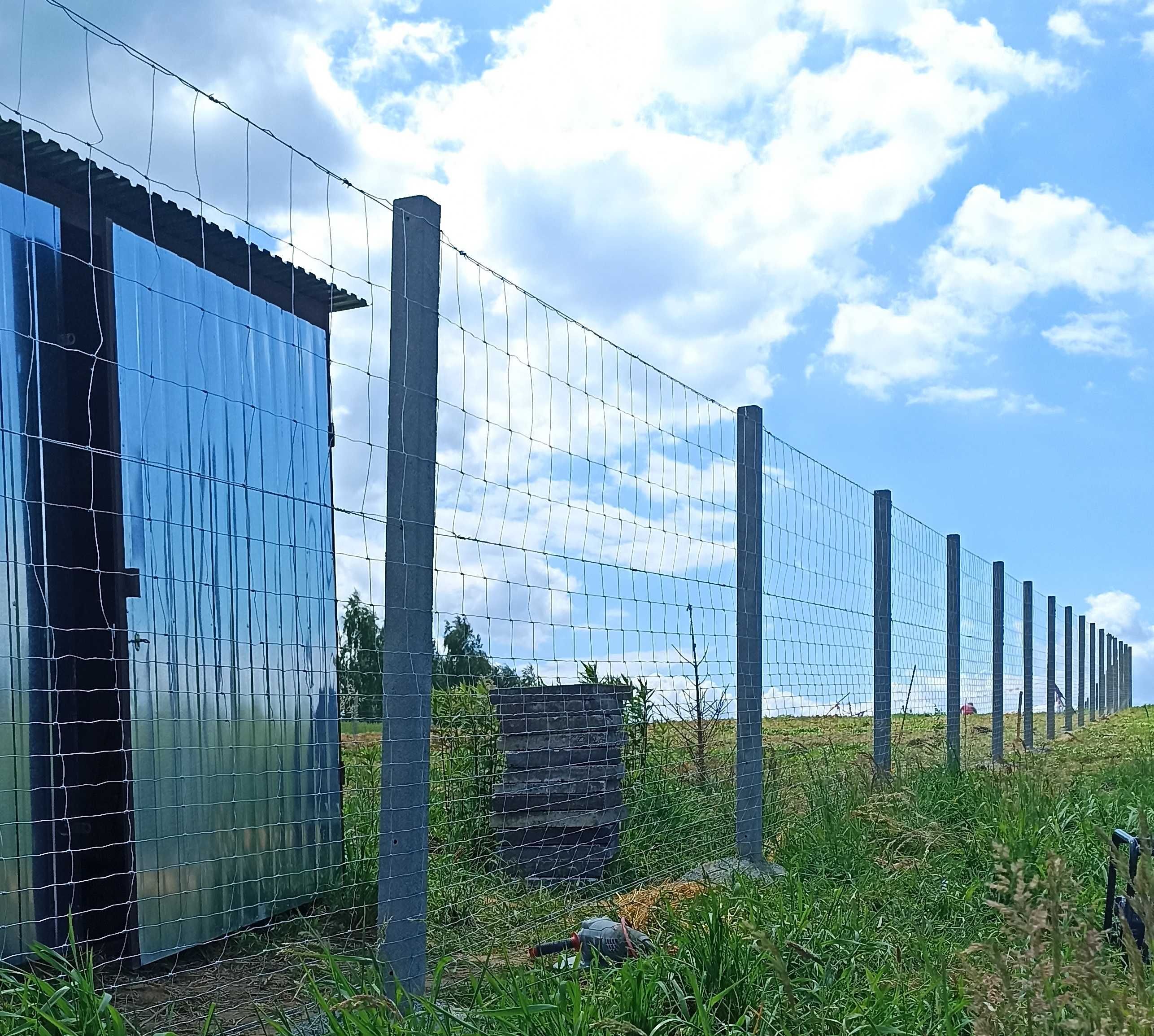 Montaż ogrodzeń ogrodzenie panelowe siatka leśna