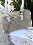 Mala/ bolsa coach
