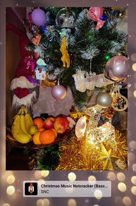 Продам свою ялинку