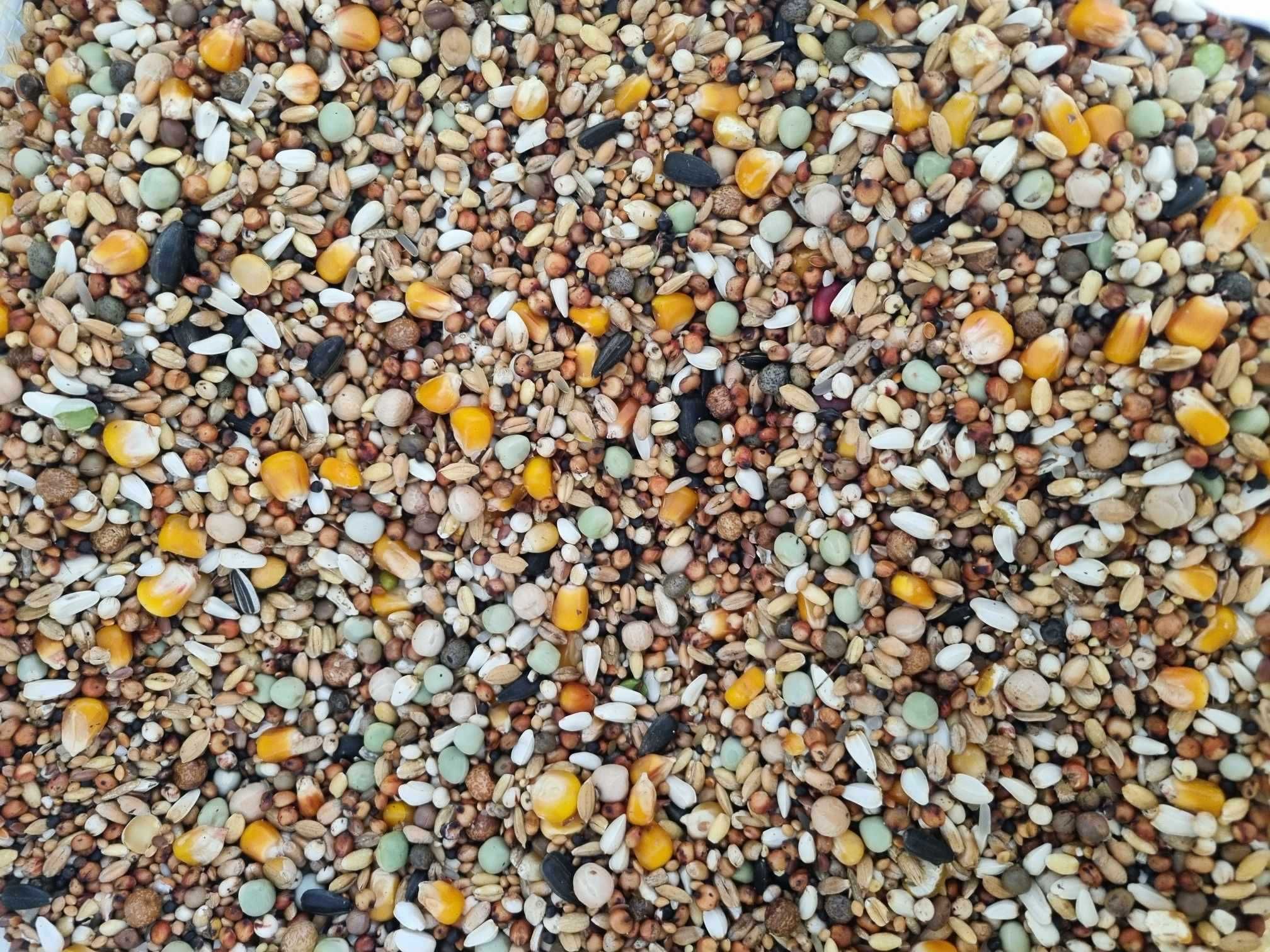 K-- Karma dla krótkodziobów z pomarańczowym popcornem 25 kg