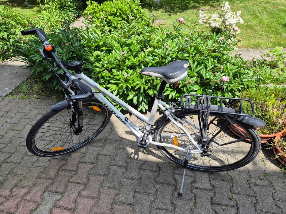 Rower Author Corsaz z niską ramą