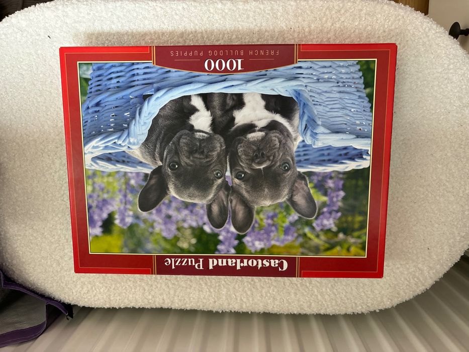 Castorland, puzzle, French Bulldog Puppies, 1000 elementów