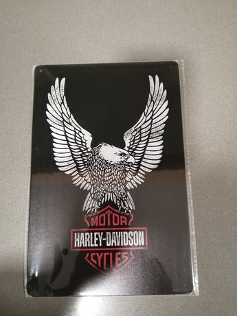 Placa decorativa Harley Davidson em chapa 30x20cm