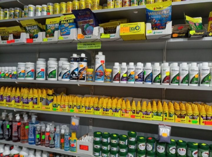 Ślimak Onion - TINA ZOO Gliwice Witkiewicza