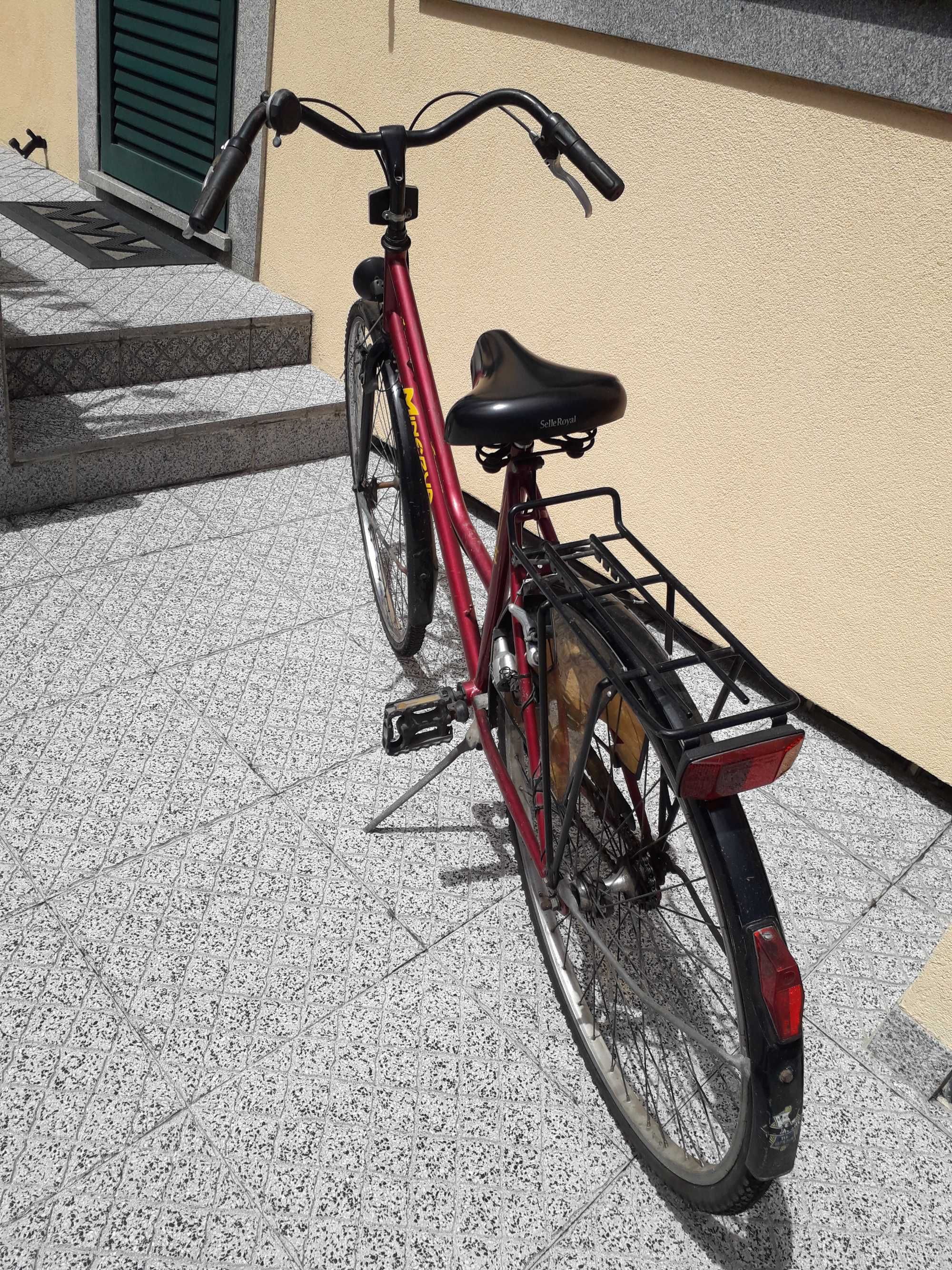 Bicicleta Antiga