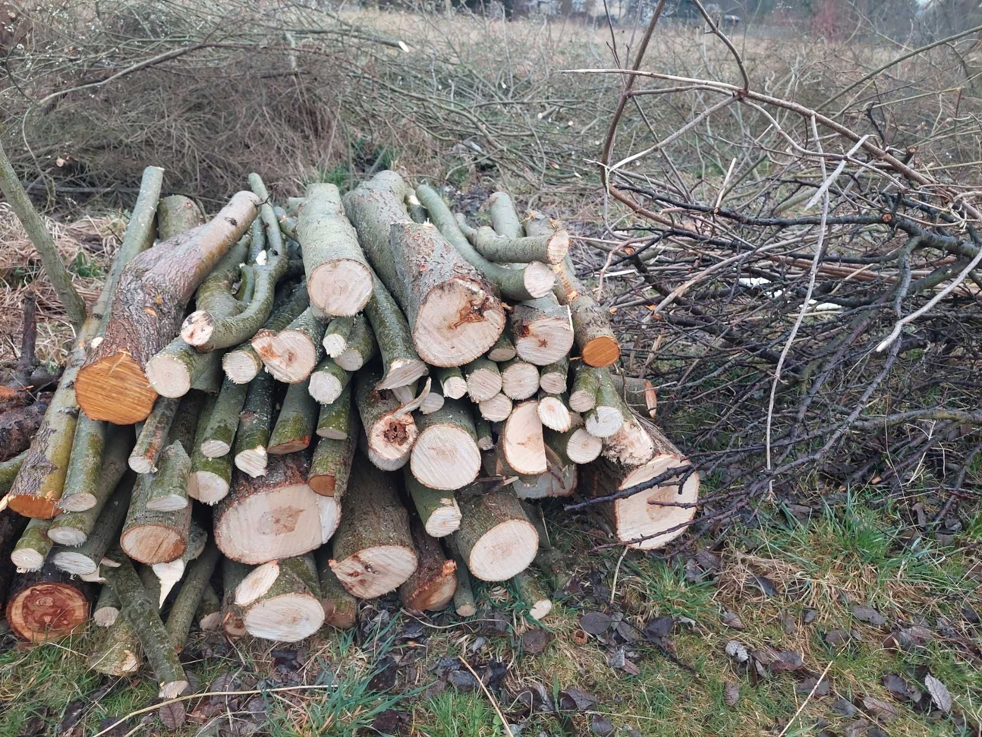 Drewno świerkowe i wierzbowe opał