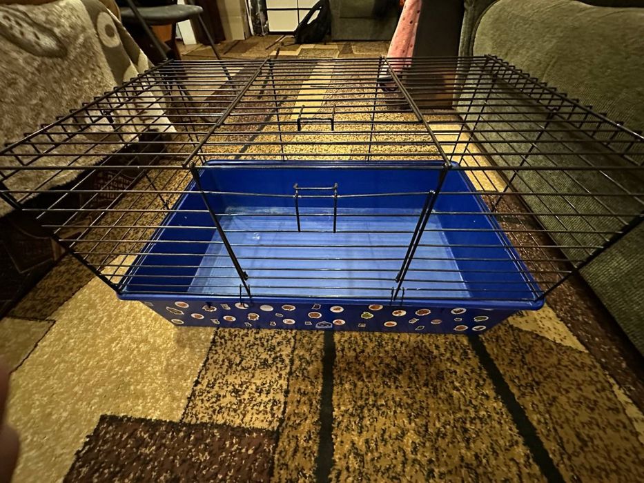 Клетка, клітка - для гризунів.