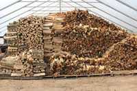Купуйте якісні дрова по породах в Одесі та області