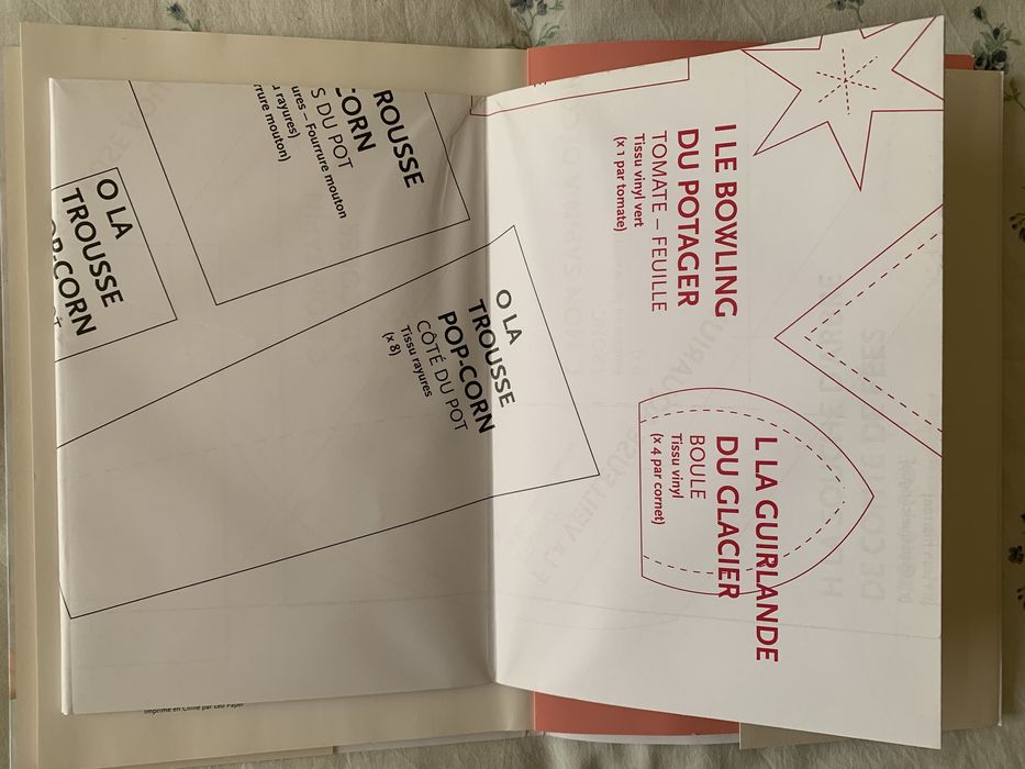 Livro de Costura (Francês)