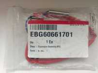 Терморезистор EBG60661701
