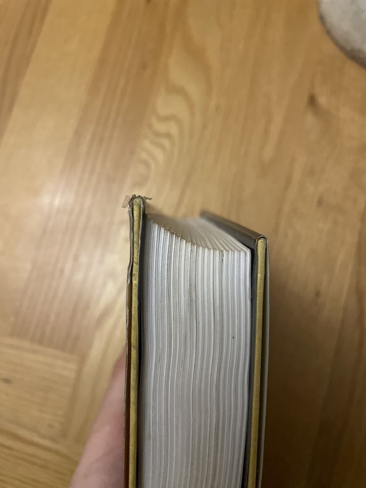 Wilbur Smith - „Drapieżne ptaki”