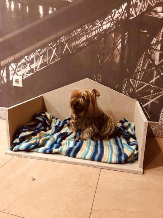 Cama para Caes e Gatos