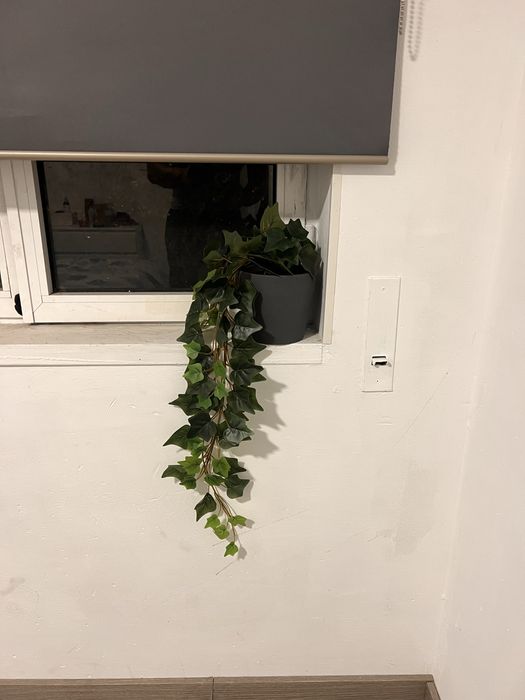 Planta artificial IKEA, FEJKA, 12 cm