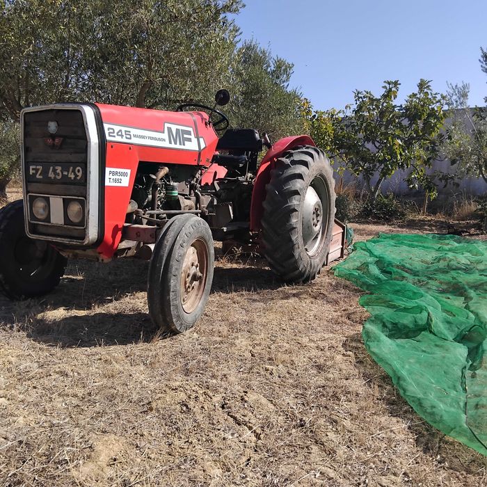 Trator  Massey Ferguson  245