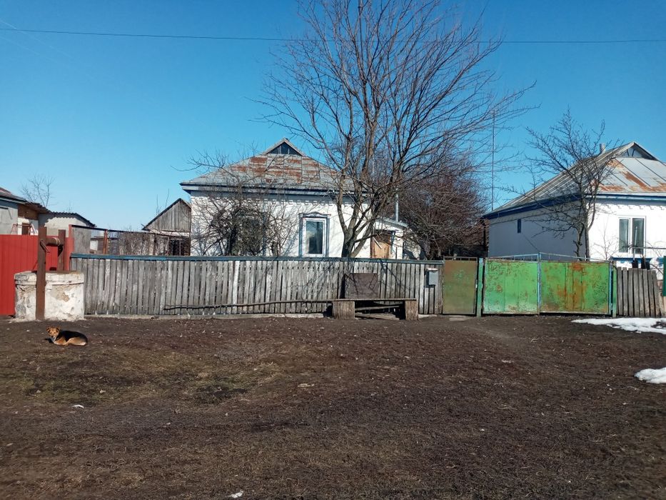 Продам будинок в Гречанівці Торг