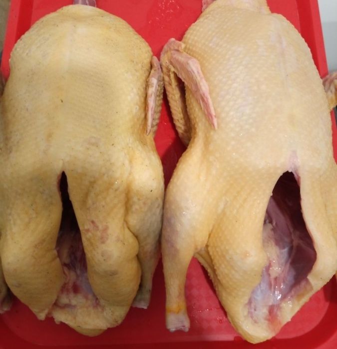 Продам Мясо утки