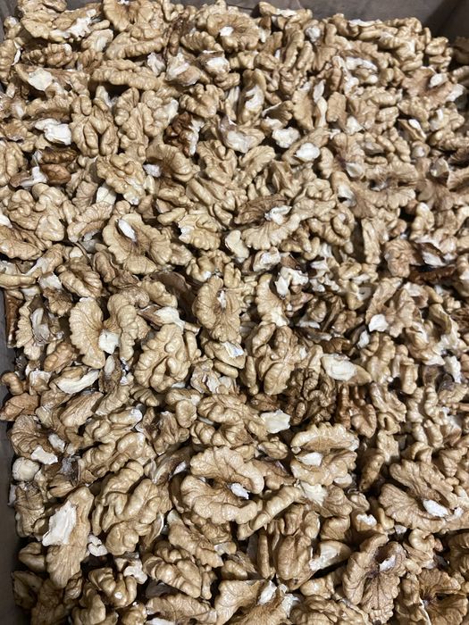 Горіх волоський ( грецький)