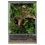 Paludarium vivarium terrarium