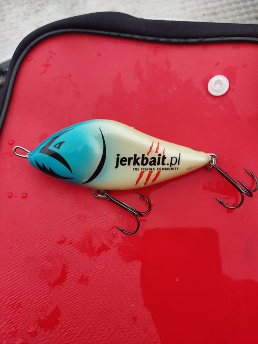 Salmo slider 10 S jerkbait